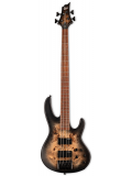 D-4 (BLACK NATURAL BURST SATIN), зображення 1